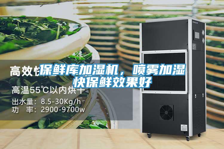 保鮮庫加濕機，噴霧加濕快保鮮效果好