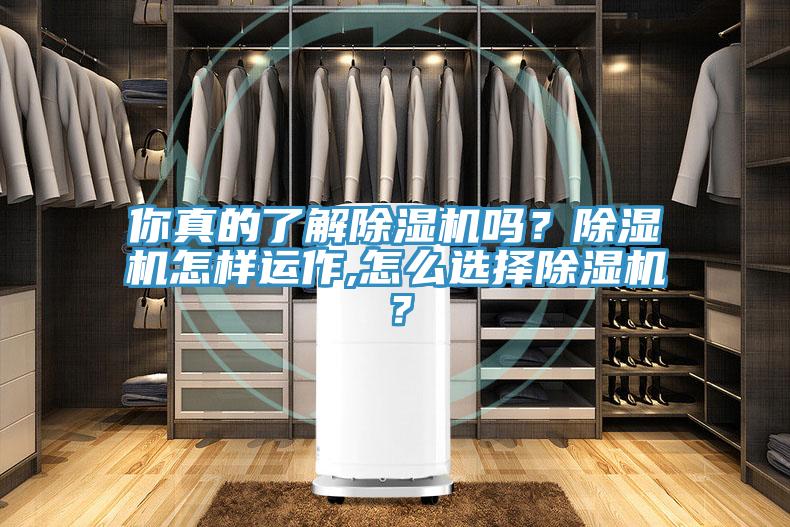 你真的了解草莓视频污污污污嗎？草莓视频污污污污怎樣運作,怎麽選擇草莓视频污污污污？