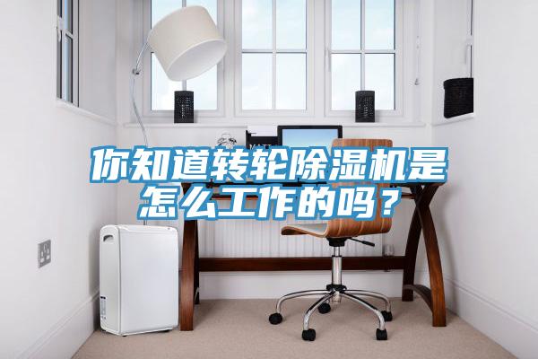 你知道轉輪草莓视频污污污污是怎麽工作的嗎？