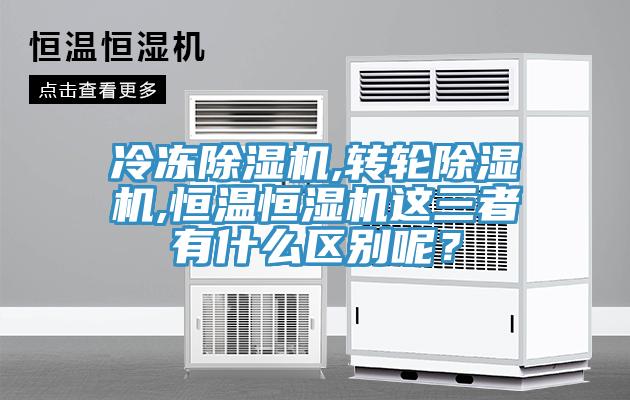 冷凍草莓视频污污污污,轉輪草莓视频污污污污,恒溫恒濕機這三者有什麽區別呢？