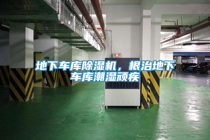 地下車庫草莓视频污污污污，根治地下車庫潮濕頑疾