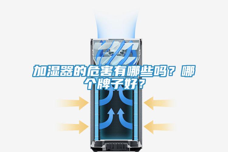 加濕器的危害有哪些嗎？哪個牌子好？