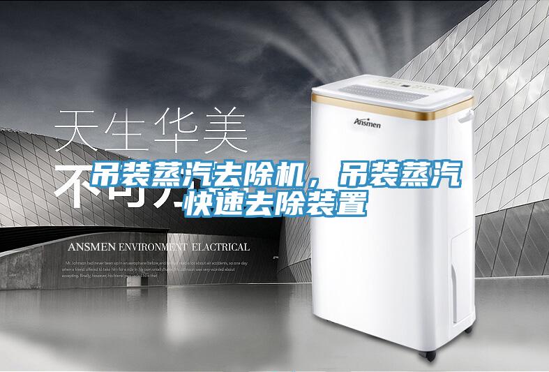 吊裝蒸汽去除機，吊裝蒸汽快速去除裝置