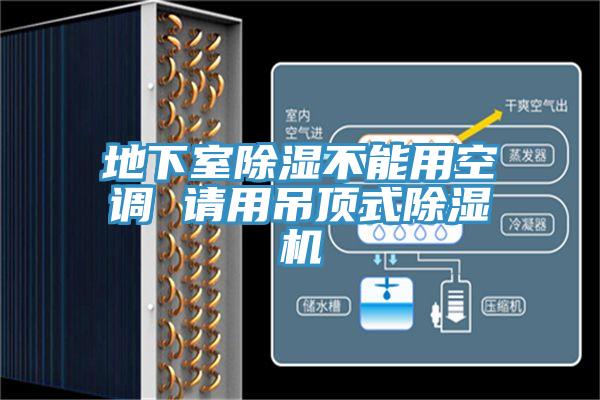 地下室除濕不能用空調 請用吊頂式草莓视频污污污污