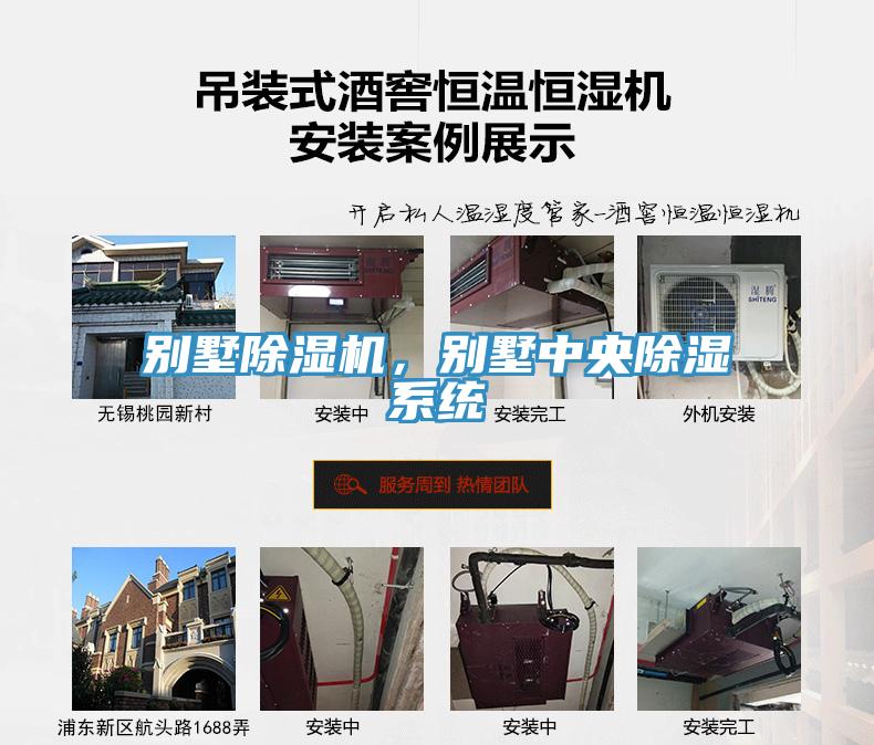 別墅草莓视频污污污污，別墅中央除濕係統