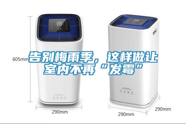 告別梅雨季，這樣做讓室內不再“發黴”