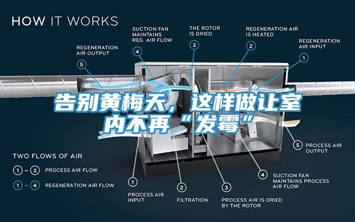 告別黃梅天，這樣做讓室內不再“發黴”