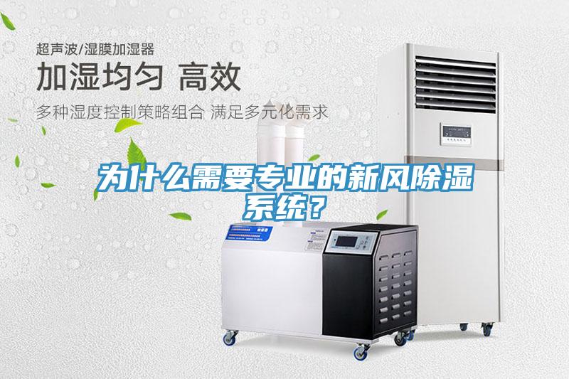 為什麽需要專業的新風除濕係統？