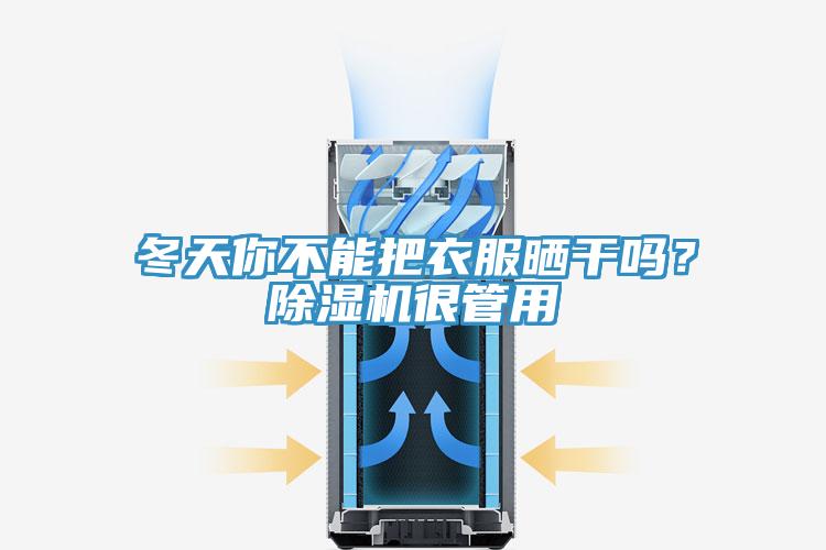 冬天你不能把衣服曬幹嗎？草莓视频污污污污很管用