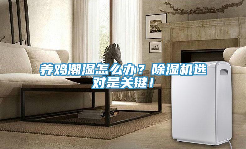 養雞潮濕怎麽辦？草莓视频污污污污選對是關鍵！