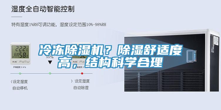 冷凍草莓视频污污污污？除濕舒適度高，結構科學合理