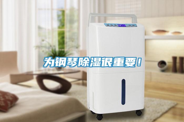 為鋼琴除濕很重要！