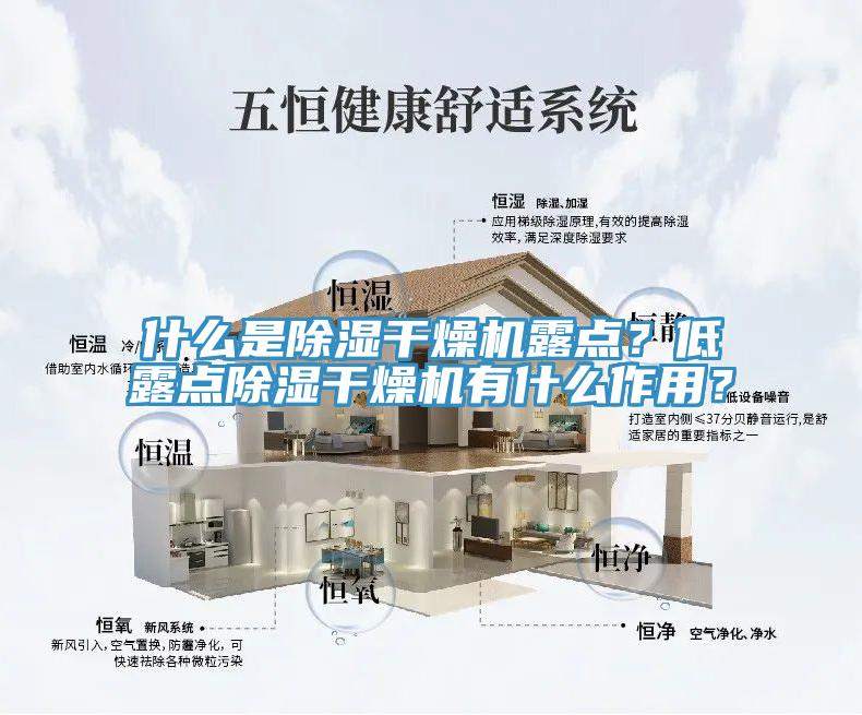 什麽是除濕幹燥機露點？低露點除濕幹燥機有什麽作用？
