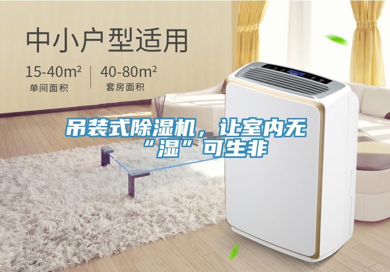 吊裝式草莓视频污污污污，讓室內無“濕”可生非