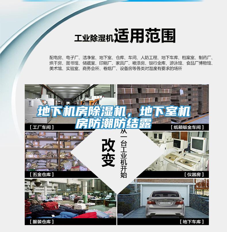 地下機房草莓视频污污污污，地下室機房防潮防結露