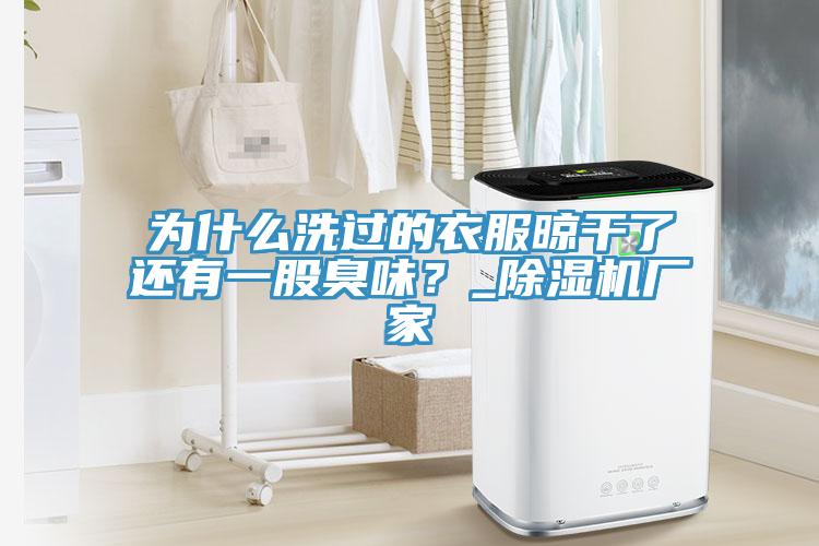 為什麽洗過的衣服晾幹了還有一股臭味？_草莓视频污污污污廠家