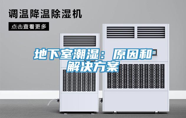 地下室潮濕：原因和解決方案