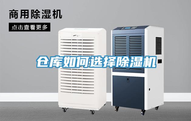 倉庫如何選擇草莓视频污污污污
