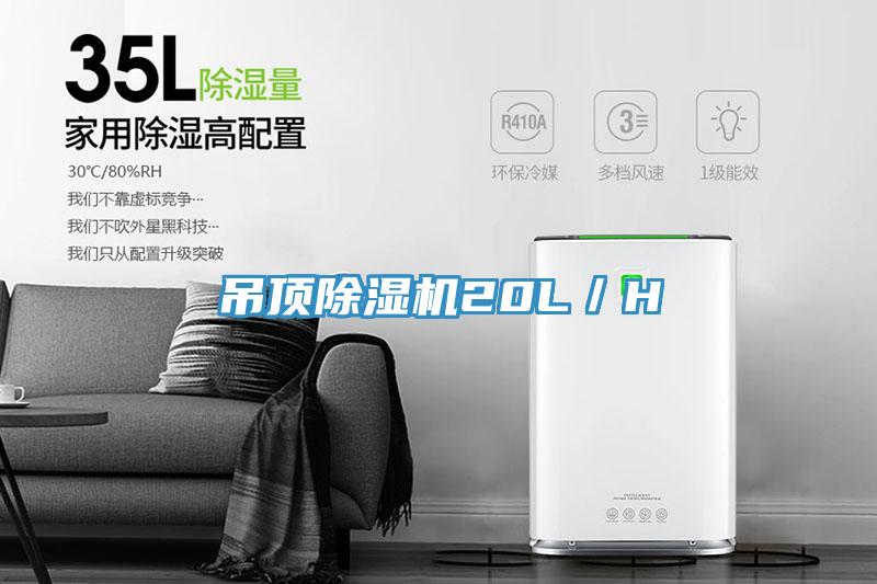 吊頂草莓视频污污污污20L／H
