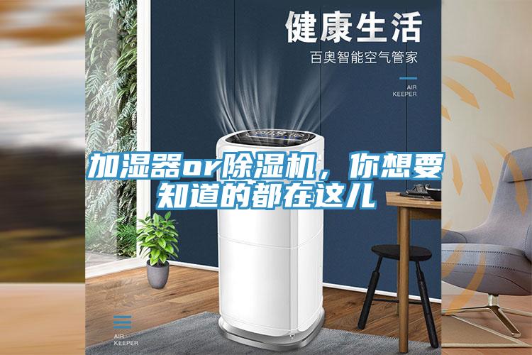 加濕器or草莓视频污污污污，你想要知道的都在這兒
