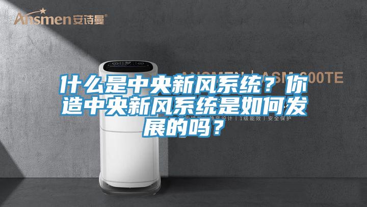 什麽是中央新風係統？你造中央新風係統是如何發展的嗎？
