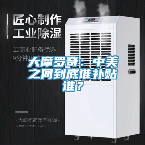 大摩羅奇：中美之間到底誰補貼誰？