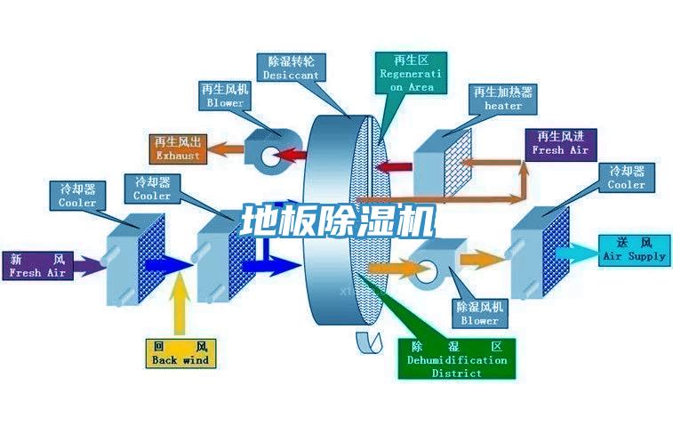 地板草莓视频污污污污