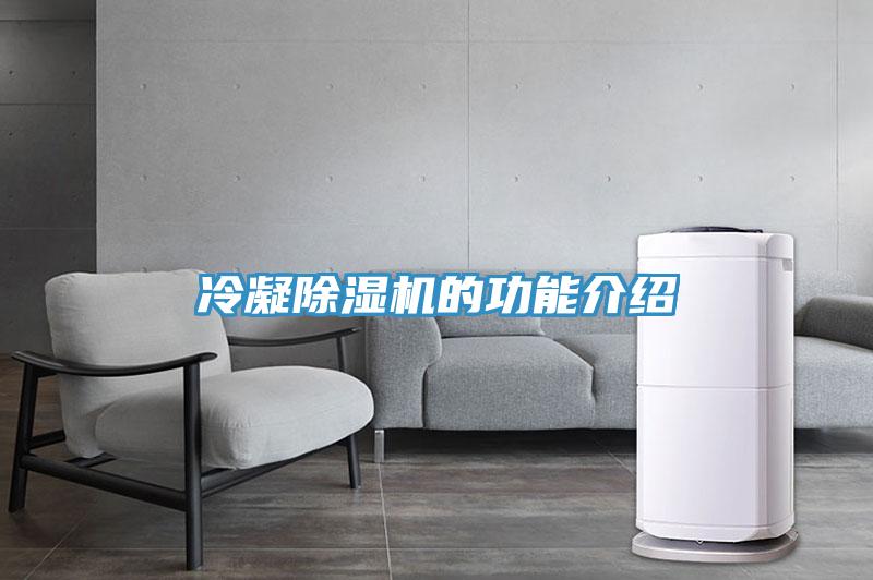 冷凝草莓视频污污污污的功能介紹