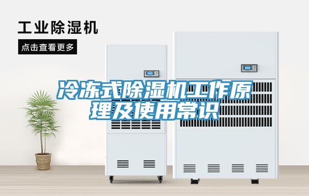 冷凍式草莓视频污污污污工作原理及使用常識