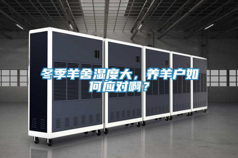 冬季羊舍濕度大，養羊戶如何應對啊？