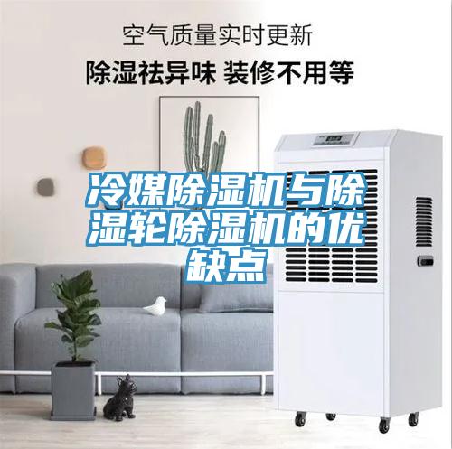 冷媒草莓视频污污污污與除濕輪草莓视频污污污污的優缺點