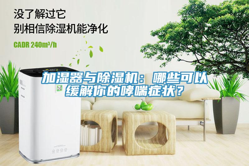 加濕器與草莓视频污污污污：哪些可以緩解你的哮喘症狀？