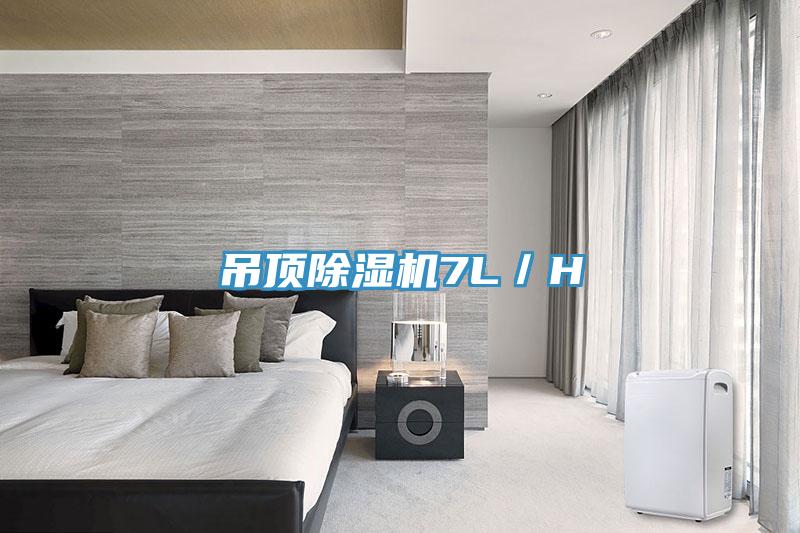 吊頂草莓视频污污污污7L／H