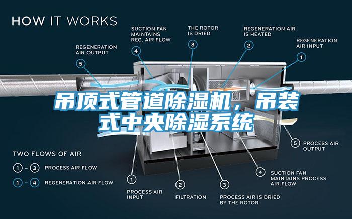 吊頂式管道草莓视频污污污污，吊裝式中央除濕係統