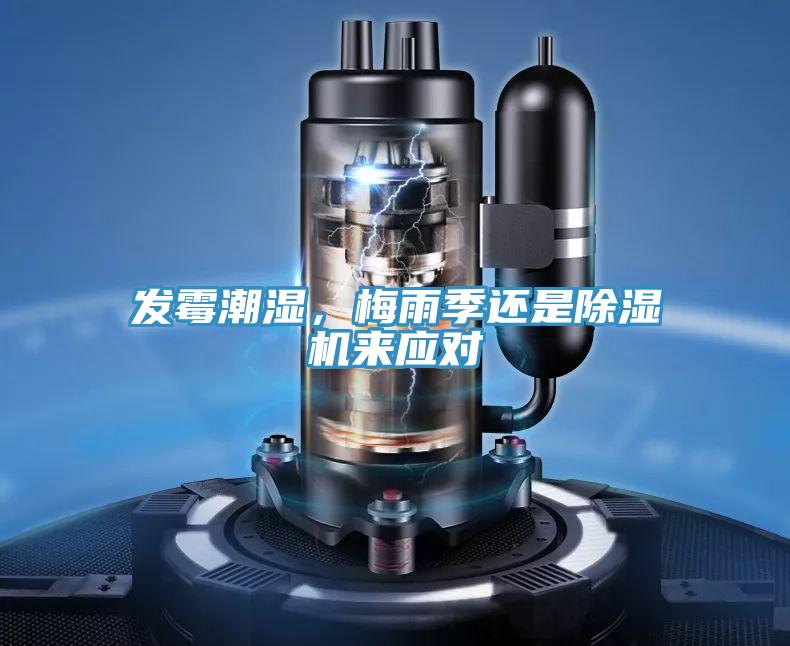 發黴潮濕，梅雨季還是草莓视频污污污污來應對