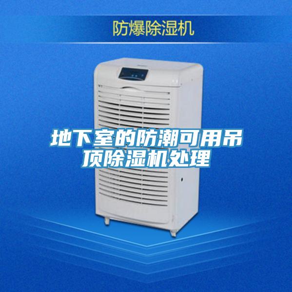 地下室的防潮可用吊頂草莓视频污污污污處理