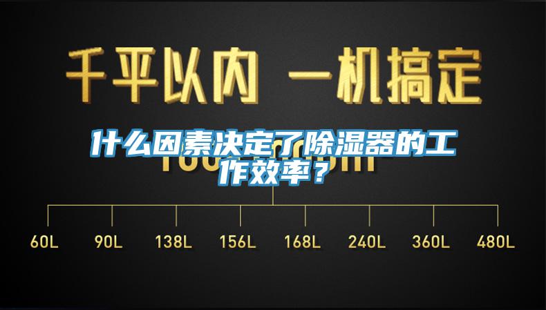 什麽因素決定了除濕器的工作效率？