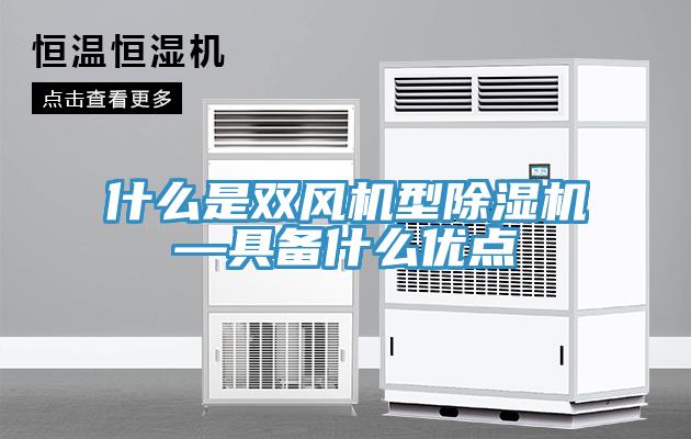 什麽是雙風機型草莓视频污污污污—具備什麽優點