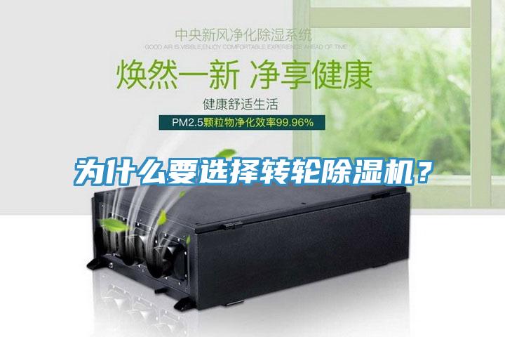 為什麽要選擇轉輪草莓视频污污污污？