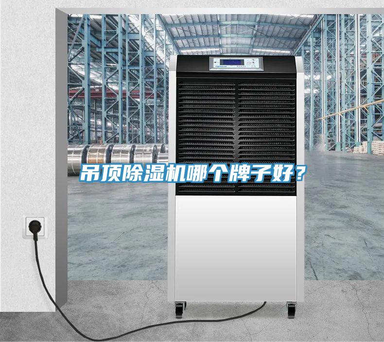 吊頂草莓视频污污污污哪個牌子好？