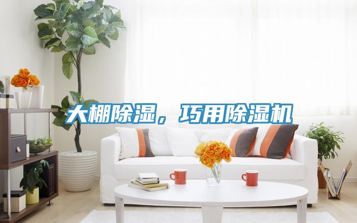 大棚除濕，巧用草莓视频污污污污