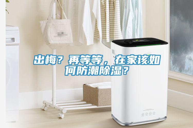 出梅？再等等，在家該如何防潮除濕？
