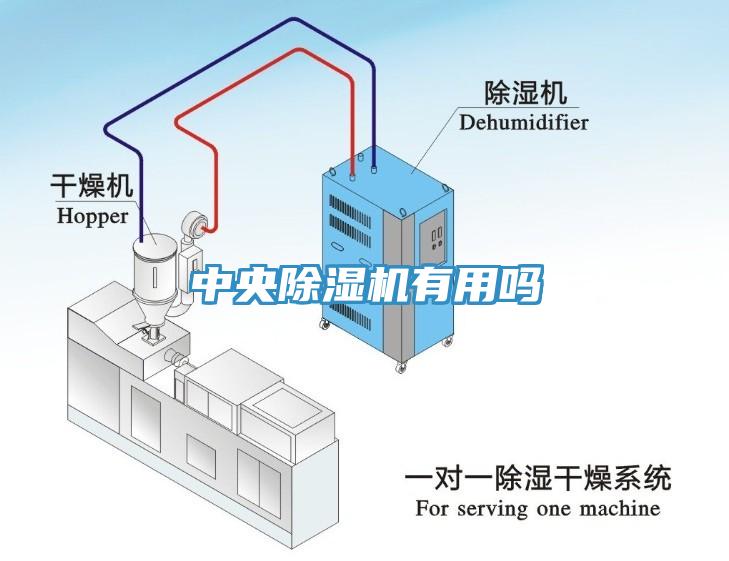 中央草莓视频污污污污有用嗎