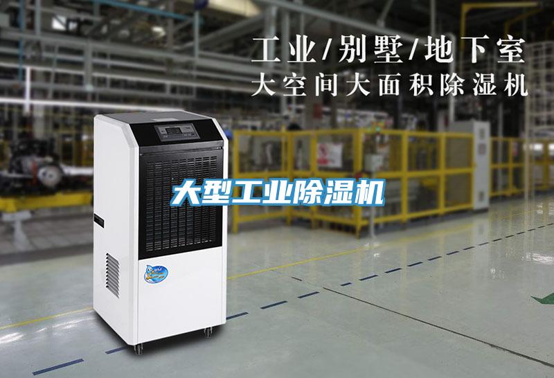 大型工業草莓视频污污污污
