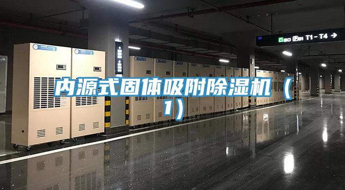 內源式固體吸附草莓视频污污污污（1）