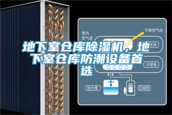 地下室倉庫草莓视频污污污污，地下室倉庫防潮設備首選