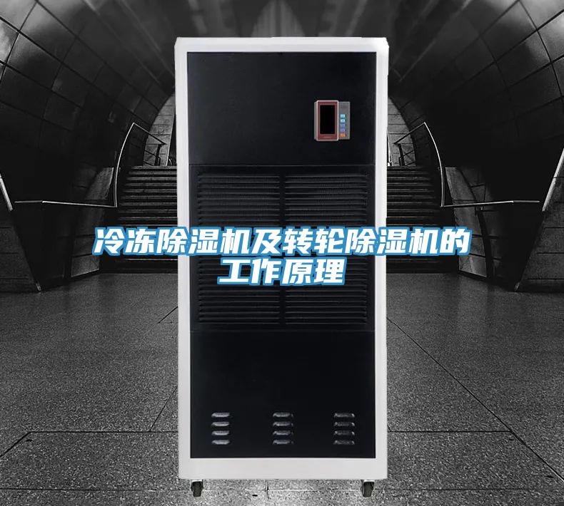 冷凍草莓视频污污污污及轉輪草莓视频污污污污的工作原理