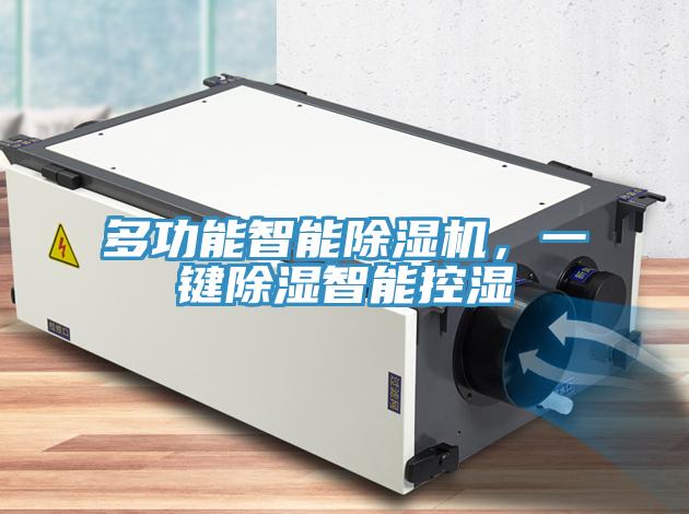 多功能智能草莓视频污污污污，一鍵除濕智能控濕