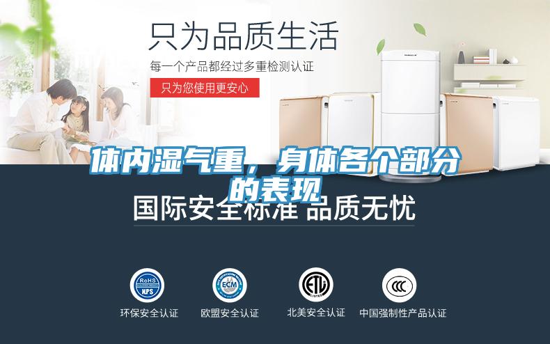 體內濕氣重，身體各個部分的表現