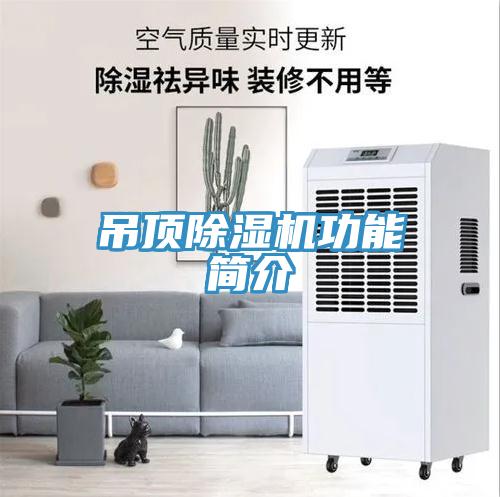 吊頂草莓视频污污污污功能簡介
